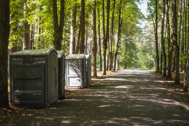 Best High-end porta potty rental  in Griggsvle, IL